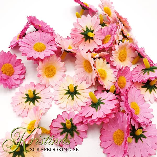 Tygblommor Tusenskönor - 2,5-3 cm - Rosa - ca 40 st