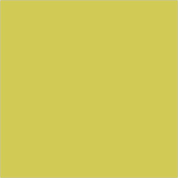 Textil Färg Solid - Kiwi - 50 ml