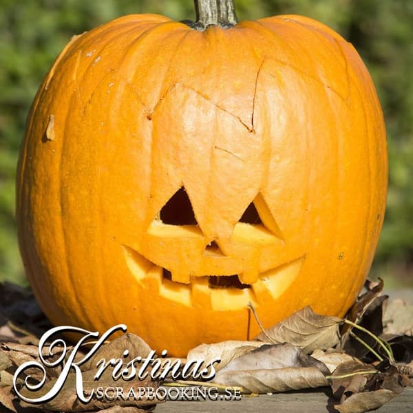 Pumpa Skärset till Halloween