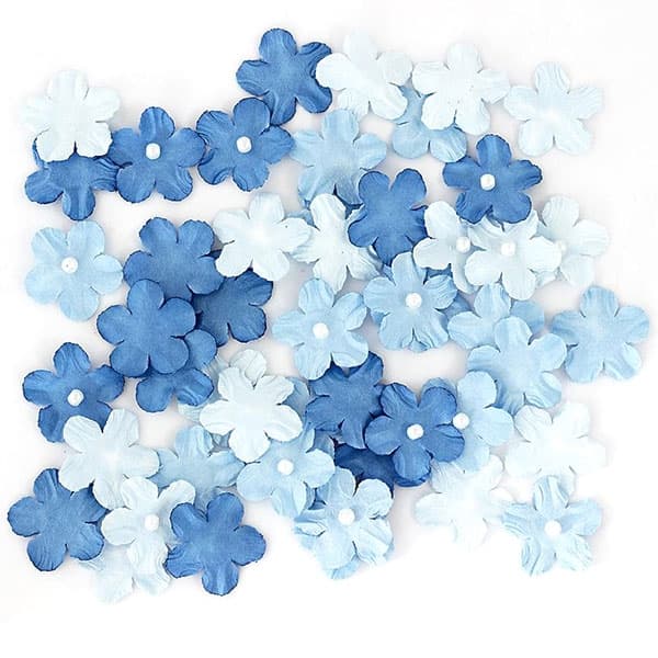 Pappersblommor Förgätmigej - Blå - 50 st