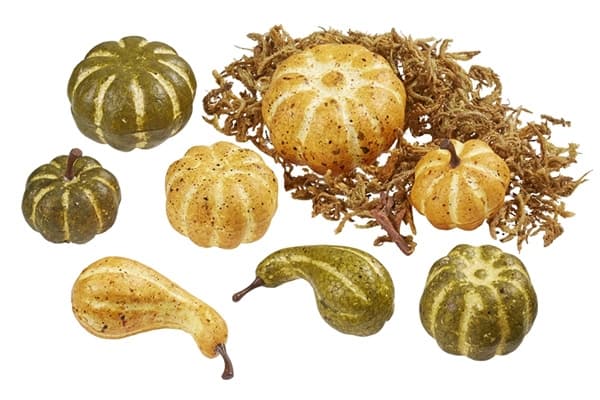 Pumpor och Mossa - Gul/Grön - 3,5-5 cm - 8 st