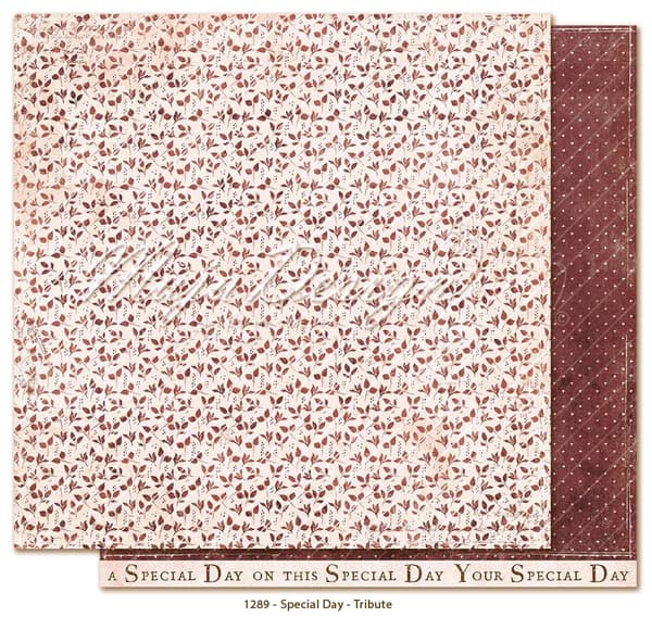 Paper Pack 6´x6´ Maja Design - Special Day