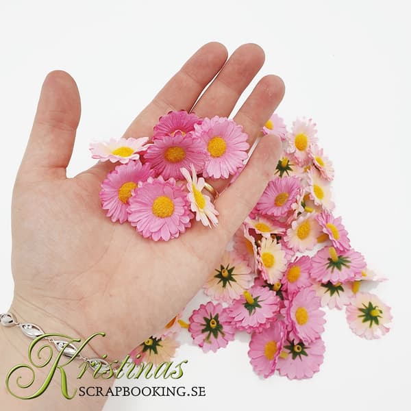 Tygblommor Tusenskönor - 2,5-3 cm - Rosa - ca 40 st