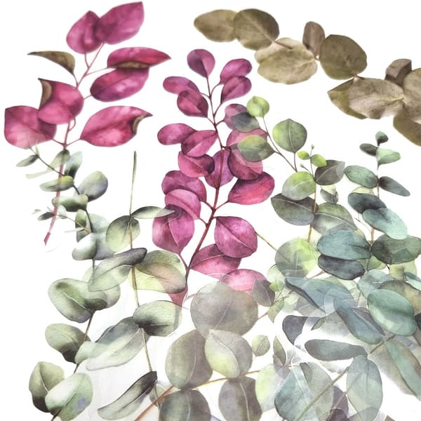 Die Cuts Clear - Acetate Lovely Leaves - 12 st