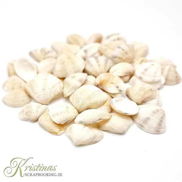 Snäckor - 50 gram - Sea Shells I - Snäckskal