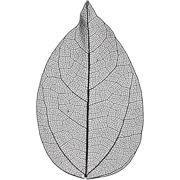 Torkade Blad - Svart - 6-8 cm - 20 st