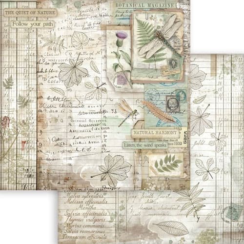 Paper Pad 12x12 Stamperia - Herbarium Silvae