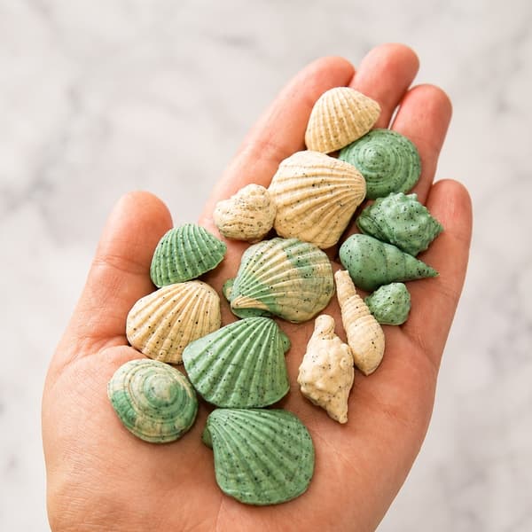 Silikonform Snäckor - Sea Shell - 10 st - Mått: 10-30 mm