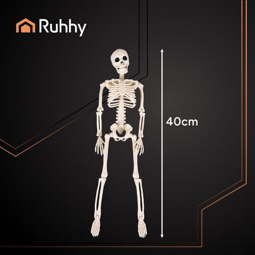 Skelet 40 cm - Halloween