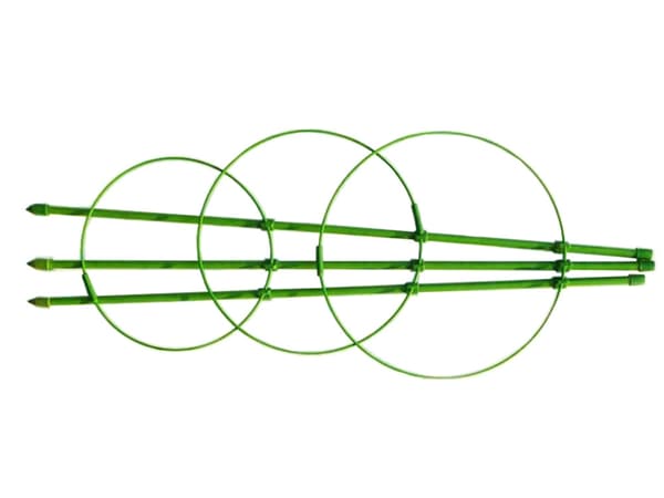 Växtstöd / Spaljé - 60 cm