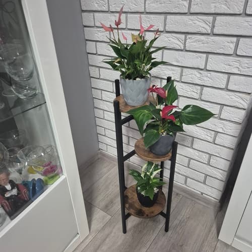 Blomsterbord / Pidestall - 80 cm