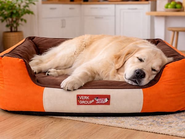 Hund- och kattbädd medium halkfri