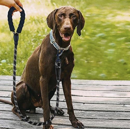 Hundebånd med Refleks - Bånd til Hund - 3m