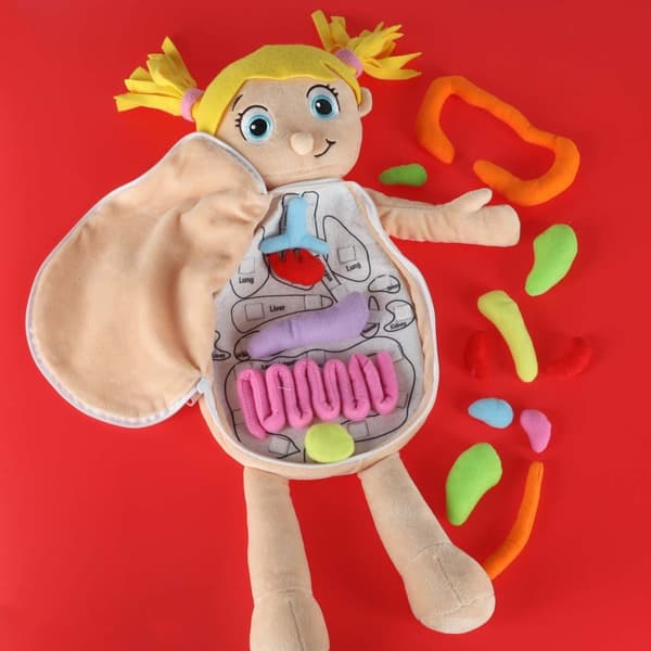 Anatomisk dukke for barn - Jente