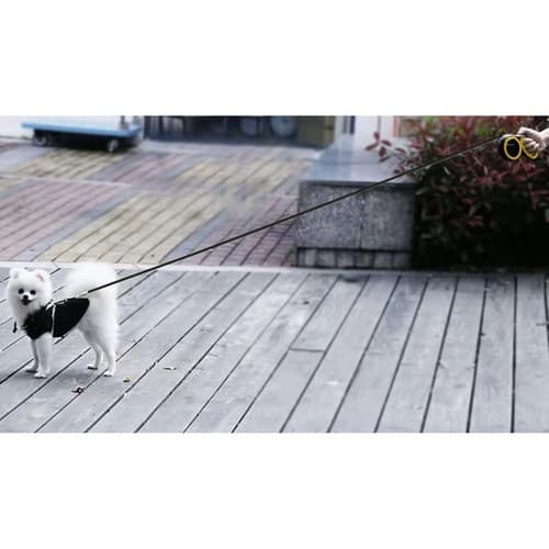 Flexibelt rullkoppel för Hund – Välj längd