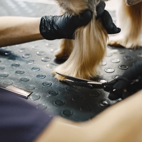 Hundeklipper Kit - Saks til hunde