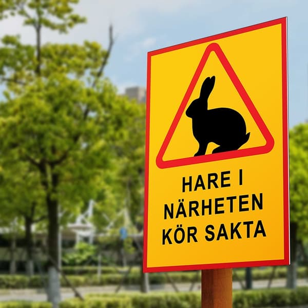 Varningsskylt "Hare I Närheten" - Skylt / Trafikskylt