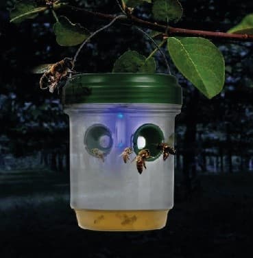 Hyönteisansa aurinkokenno
