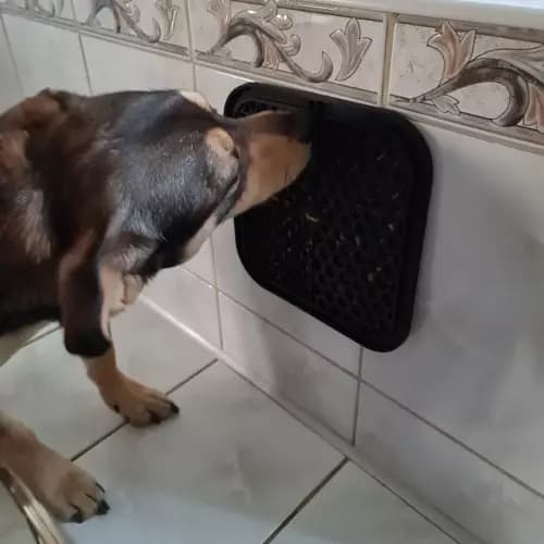 Slow Feeder Bakke til Hund & Kat - Spis langsommere