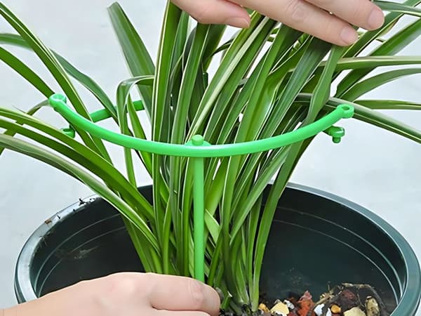 Plantestøttering - 3-rings bue til potteplanter