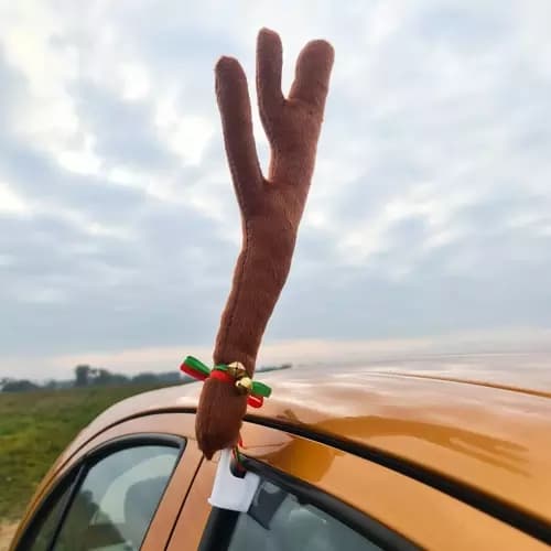 Renhorn til Bilen – Rudolf