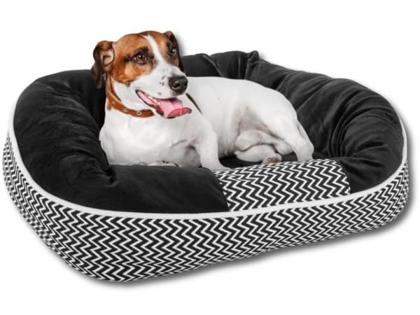 Hundeseng kat blød seng sofa pude m stor - M
