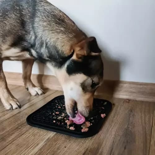 Slow Feeder Bakke til Hund & Kat - Spis langsommere