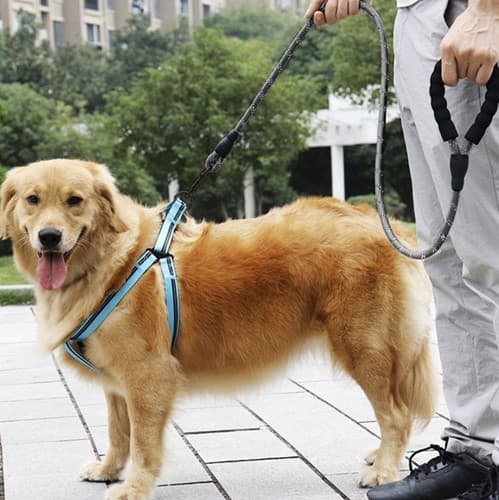 Hundkoppel med Reflex - Koppel för Hund - 5m