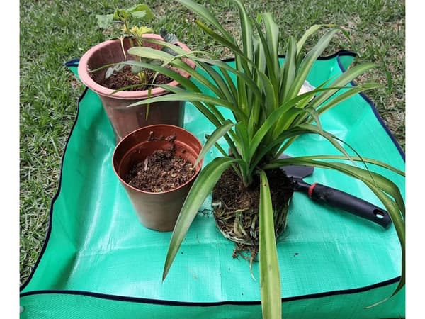 Plantematte stor - For omplanting av blomster