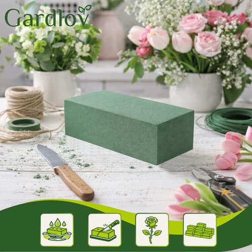 Skumblock för blomsterarrangemang - 20-Pack