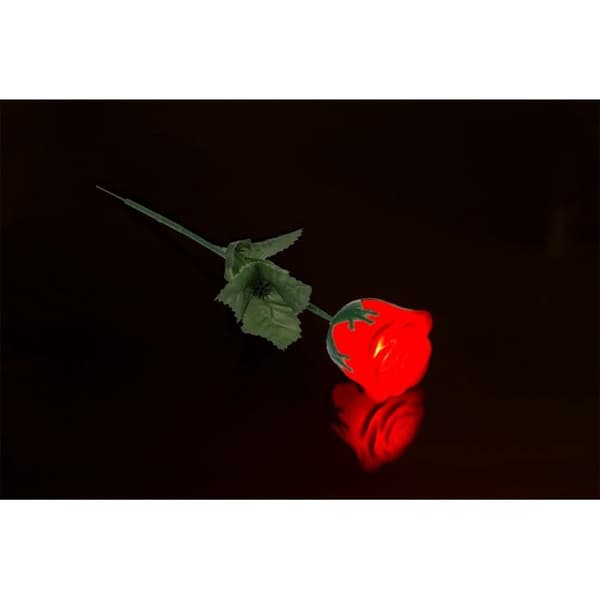 Ruusu LED-valolla – Värinvaihtava