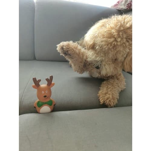 Hundleksaker / Leksaker för Hund - Jul