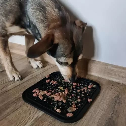 Slow Feeder Bakke til Hund & Kat - Spis langsommere