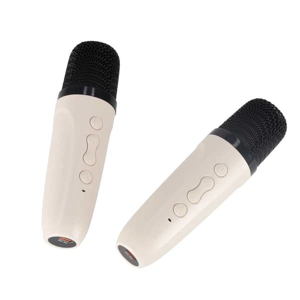 Karaokemaskine med 2 mikrofoner - Bluetooth