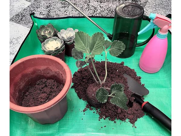Plantematte stor - For omplanting av blomster