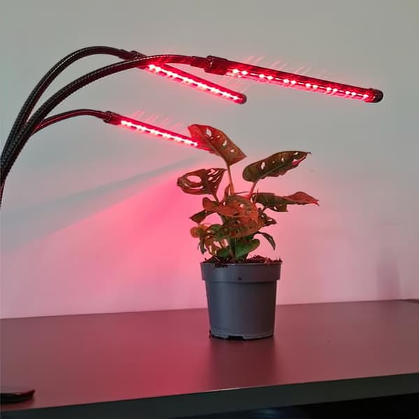 Växtlampa - Växtbelysning med 3 LED-lysrör