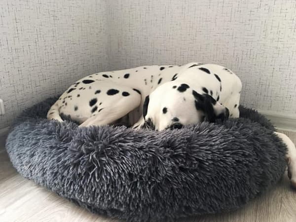 Fluffy hundeseng katteseng blødt pudebetræk sofeseng 80 cm