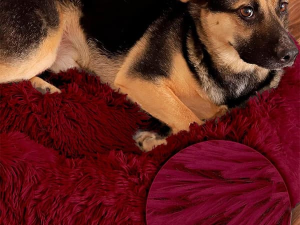 Fluffy hundeseng katteseng blødt pudebetræk sofabetræk 80 cm