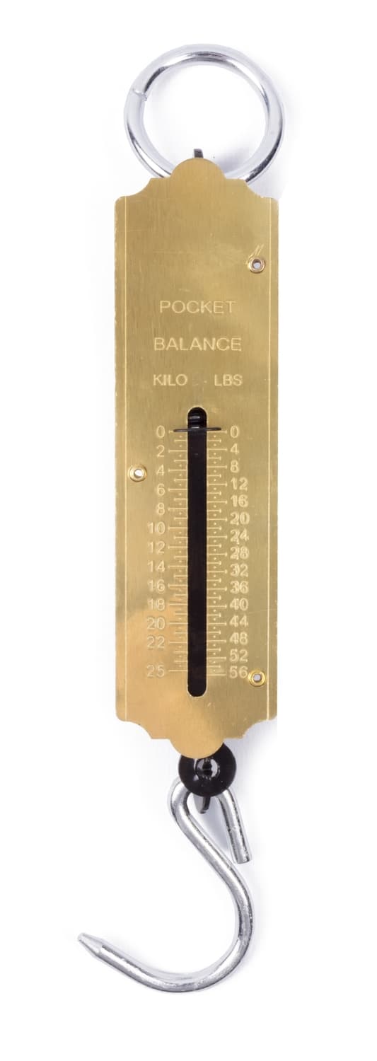 Jousivaaka taskumalli 25 kg