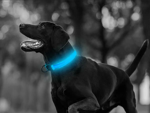 LED-belysning mørkehalsbånd for hunder og katter justerbart 59cm