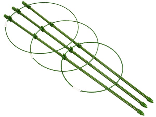 Växtstöd / Spaljé - 60 cm