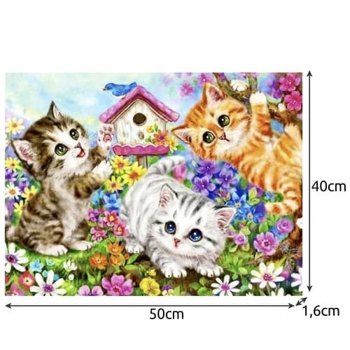 Mal Efter Nummer Sæt - 40x50cm – Katte
