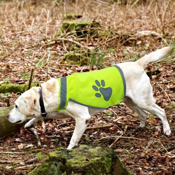 Refleksvest for Hund - Refleks - L