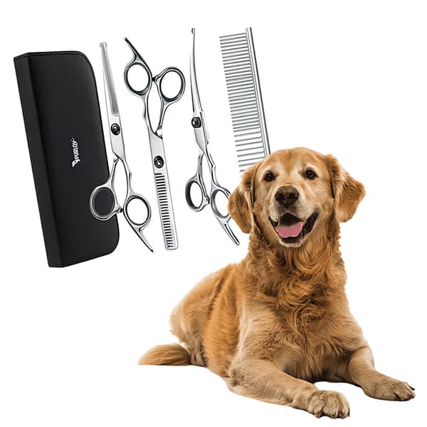 Hundklippare Kit - Saxar för hund