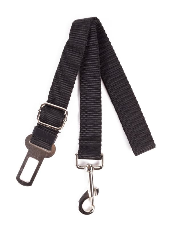 Bilbälte för hund