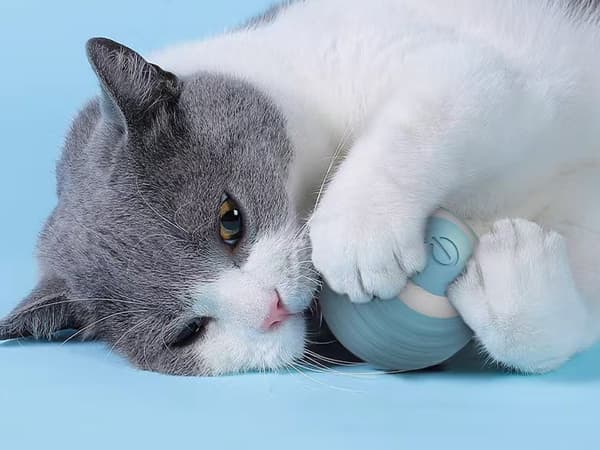 Legetøj til kat/hund - Selvkørende LED-bold med USB