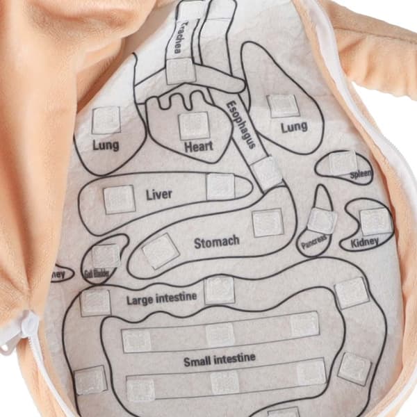 Anatomisk dukke for barn - Jente