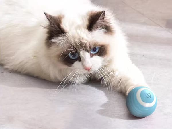 Legetøj til kat/hund - Selvkørende LED-bold med USB