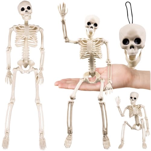 Skelet 40 cm - Halloween