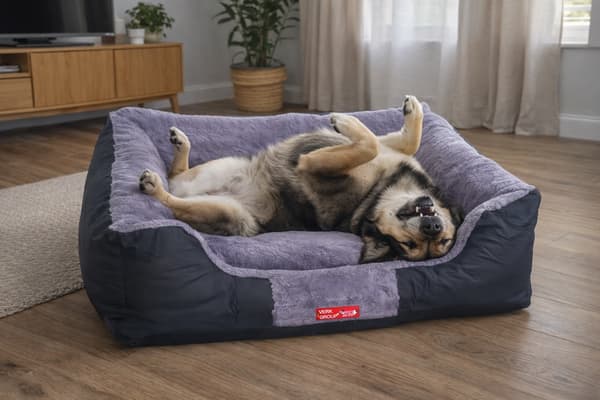 Hundbädd soffa mjuk